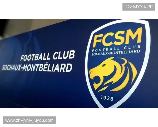 法甲外援适应问题及解决方案研究