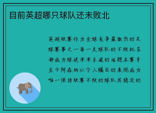 目前英超哪只球队还未败北